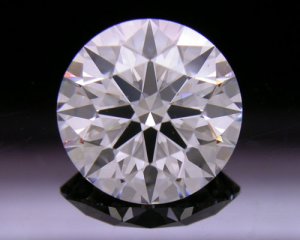 DI40X_AGS_5351501.jpg