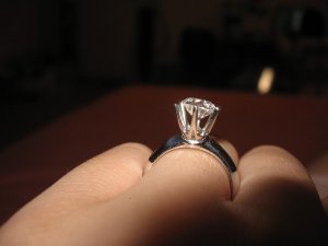 IMG_0374a.JPG