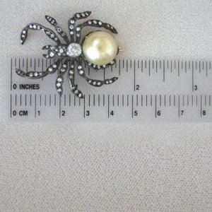 Arachnophobia.jpg