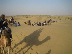 Desert.jpg