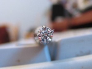 Img_0992sm.jpg