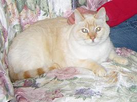 Copy a.JPG