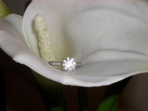 irisbling1.jpg