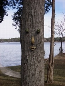 facetree1.jpg