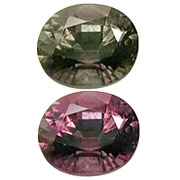 GCC-00010-l.jpg