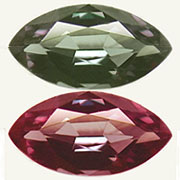GCC-00028-l.jpg