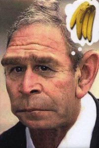 georgemonkee.JPG
