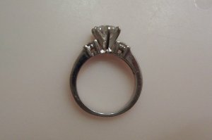 100_0519ab.jpg