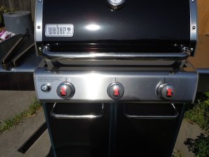 5-05-12Weber.jpg