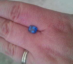 bluespineloutside1.jpg