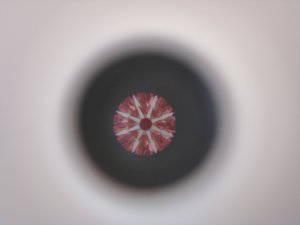 2145441239 arrows.jpg