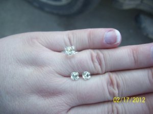 100_40611.jpg 100_40611.jpg