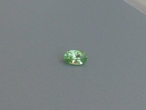 Mint garnet 007.jpg