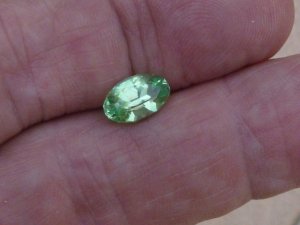 Mint garnet 006.jpg