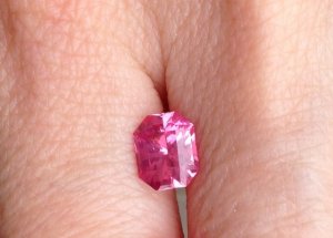IMG_1388.jpg