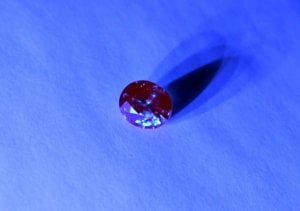 IMG_0574.JPG