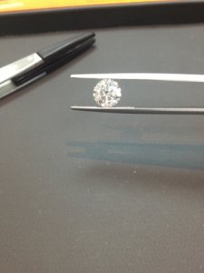 photo 11.jpg