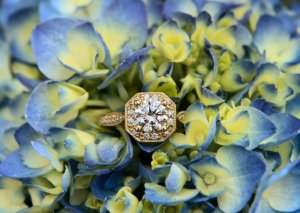 ring-front-3.jpg ring-front-3.jpg