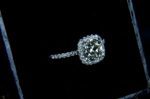 IMG_7653_2.jpg