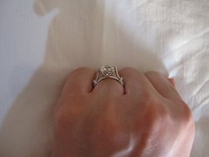 IMG_1390 Resize Bottom.jpg