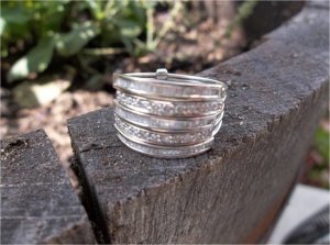 ring1.jpg ring1.jpg