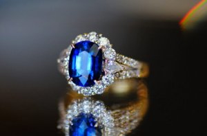 cmsbluesappring4.jpg