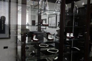 Whiteflash-Visit041.JPG Whiteflash-Visit041.JPG