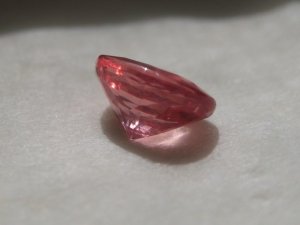 IMG_3277.JPG