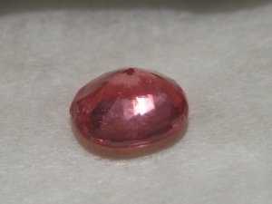 IMG_3278.JPG