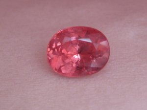IMG_3280.JPG