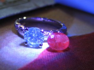 IMG_3353.JPG