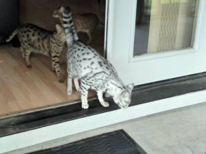 first step out.jpg