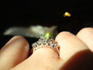 IMG_1433.jpg