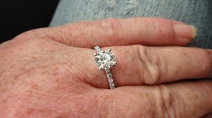 ring and camping 209.JPG ring and camping 209.JPG