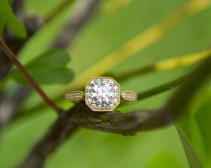 wedding-rings-1002.jpg wedding-rings-1002.jpg