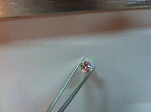 IMG_9646.jpeg