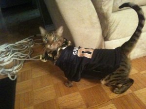 IMG_1220 - Copy.jpg