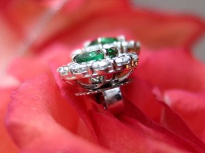 IMG_0187.JPG