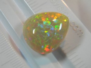 008.JPG