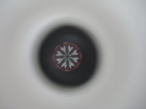 IMG_8071.jpg
