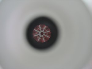 IMG_8072.jpg