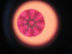 IMG_8075.jpg