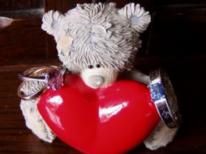 Bear & Rings 3.JPG