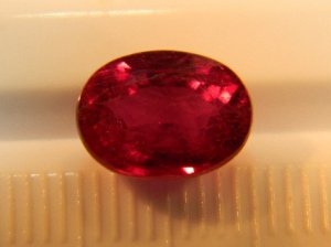009 (3).JPG 009 (3).JPG