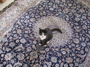 Rug 004.JPG