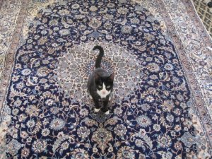 Rug 003.JPG