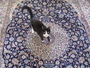 Rug 002.JPG