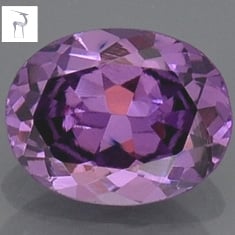 spinelpurp.jpg