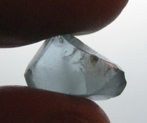 maroonedverso3.jpg