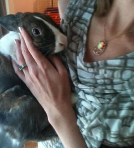 Bunny.jpg
